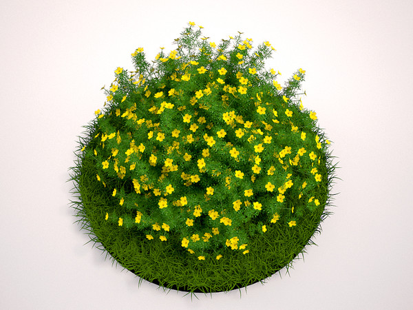 plant flowers 3d 3ds - Goldfinger Potentilla... by MasterPixel
